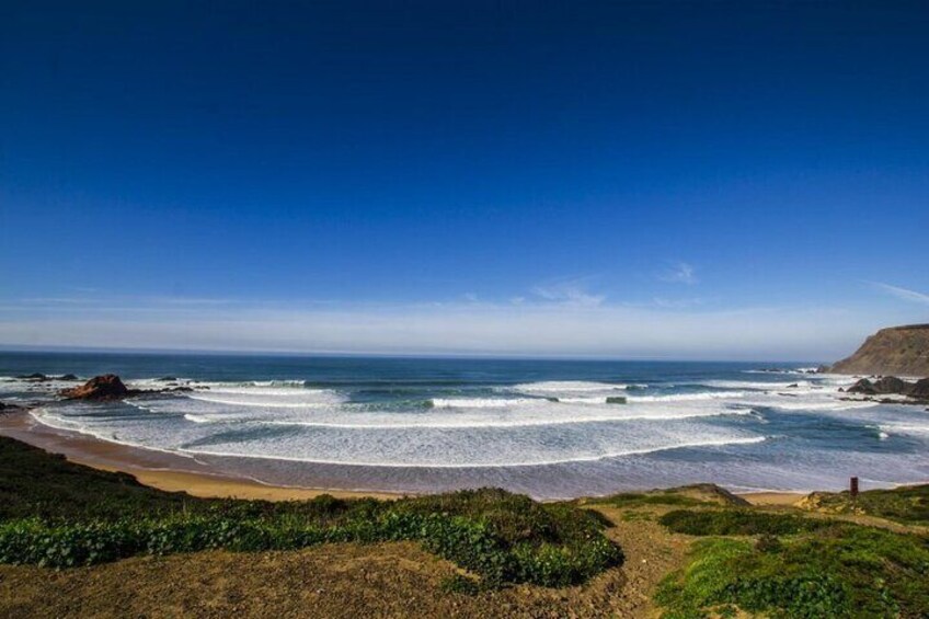 Un paysage côtier avec une plage de sable, des vagues de l’océan et une végétation verdoyante. 3