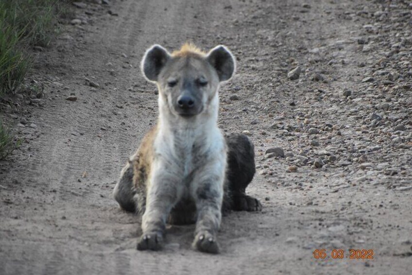 2 Days / 1 Night - Tsavo Explorer Safari