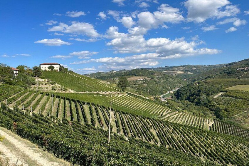 Private Barolo Wine Tour with Winemaker 4