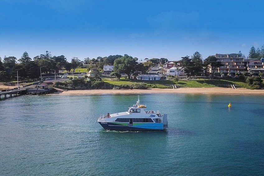 A boat on calm water with a beach and houses in the background. 5