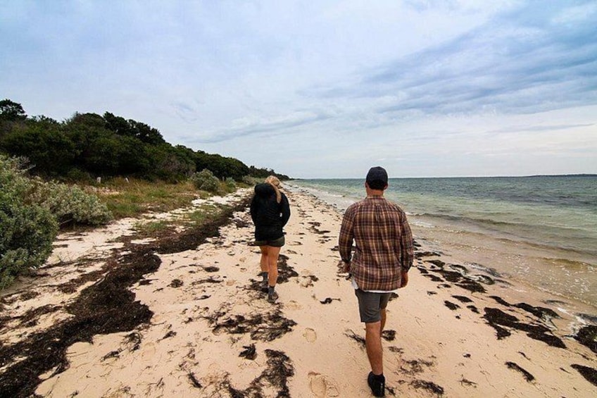 Two people walking on a sandy beach with seaweed and vegetation along the shore. 3
