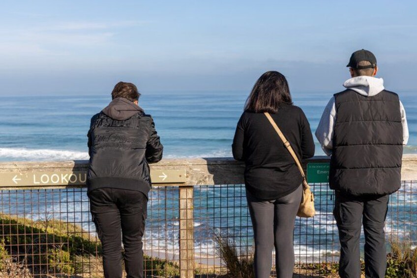 Mornington Peninsula Sightseeing tour with lunch 5