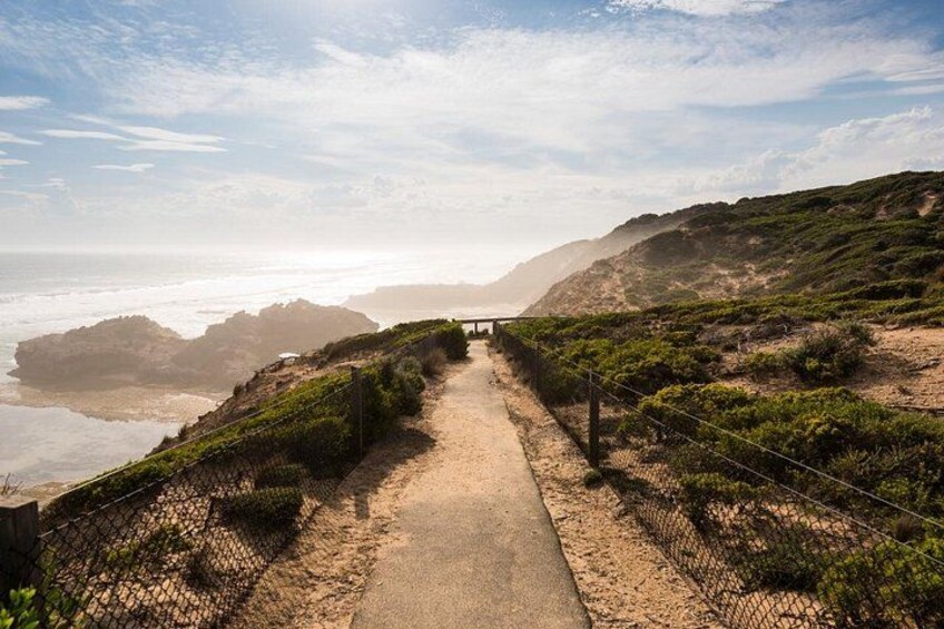 Mornington Peninsula Sightseeing tour with lunch 2
