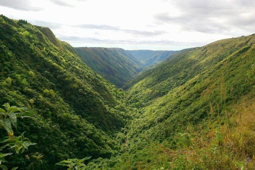 A lush valley with steep hillsides and dense vegetation. 1