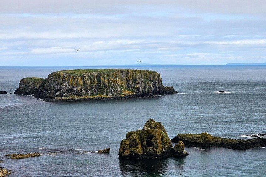 Small Group Giant's Causeway Day Tour from Belfast 5