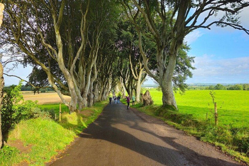 Small Group Giant's Causeway Day Tour from Belfast 3