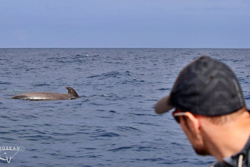 Whale Watching and Marine Science Tour 5
