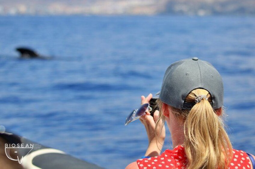 Whale Watching and Marine Science Tour 3
