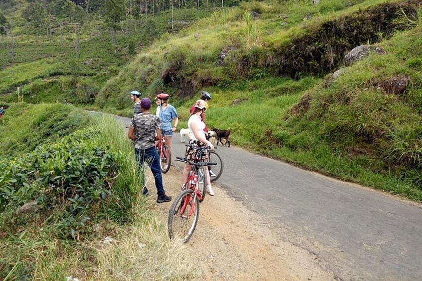 Ella cycling 2