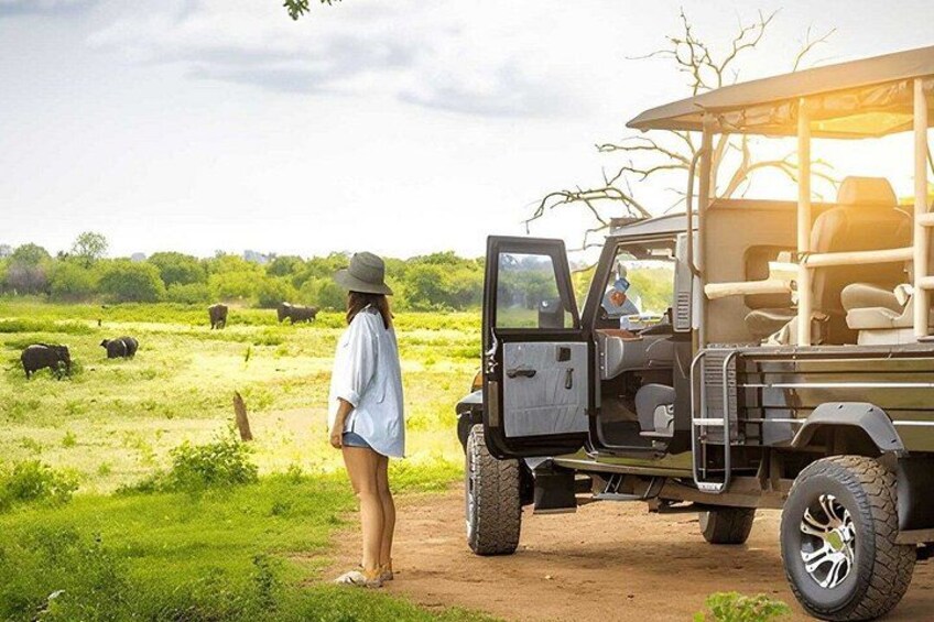 Een safarivoertuig geparkeerd op een onverharde weg, met iemand ernaast, wild in de verte en een savannelandschap. 4