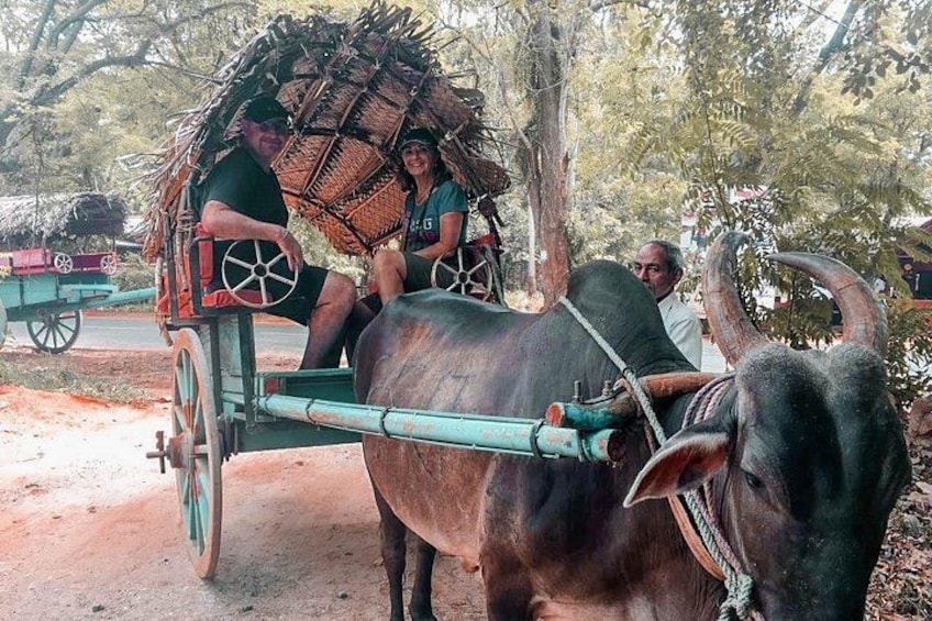 Un carro de bueyes con pasajeros, un árbol y una carretera. 4