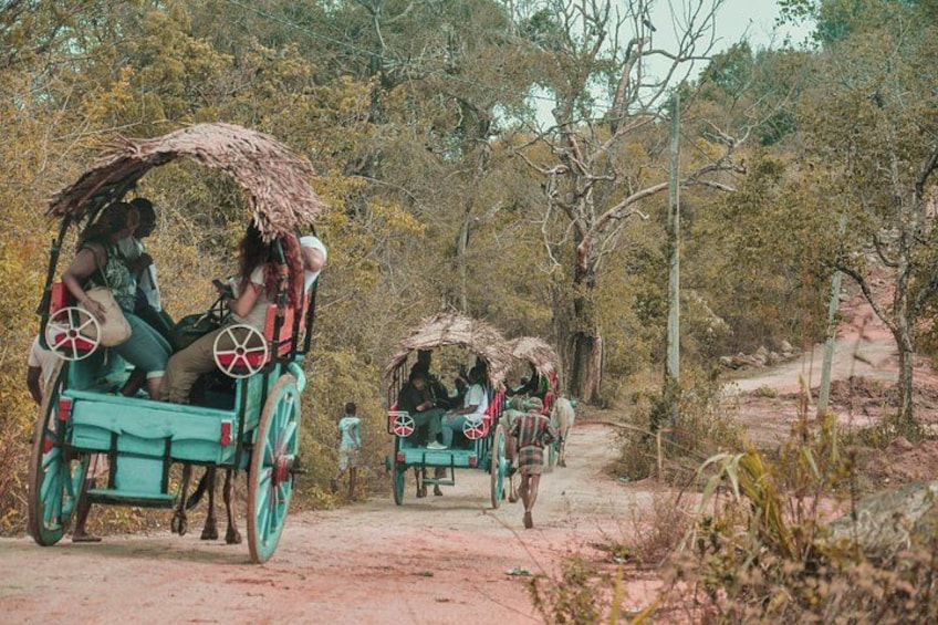 Un grupo de personas viaja en un carro de madera tradicional por un sendero de tierra en un área boscosa. 3