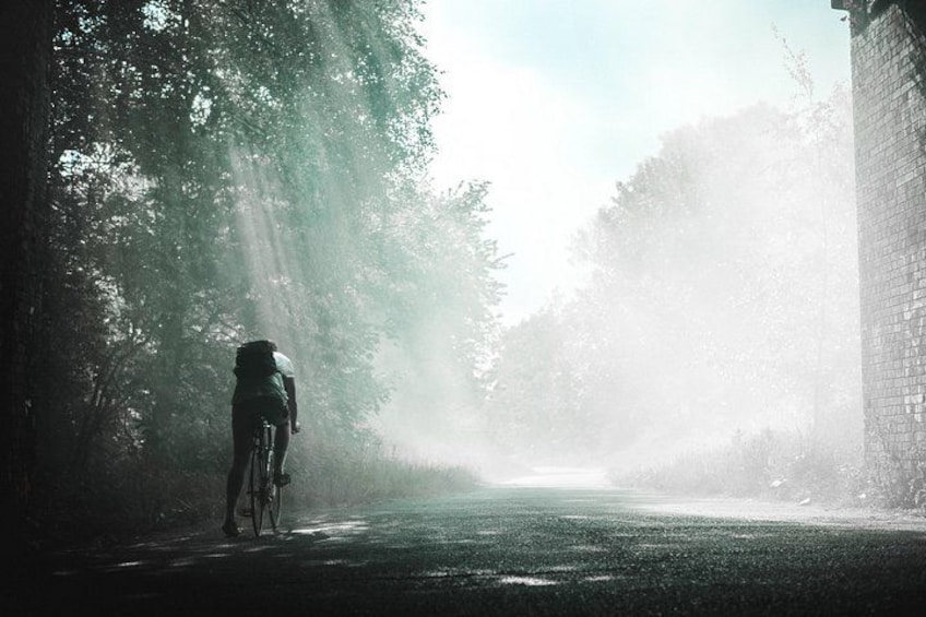 Eine Person fährt Fahrrad auf einem nebelverhangenen Pfad, der von Bäumen gesäumt ist. 1