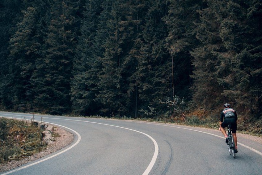Ein Radfahrer fährt auf einer kurvenreichen Straße, umgeben von dichtem Wald. 3