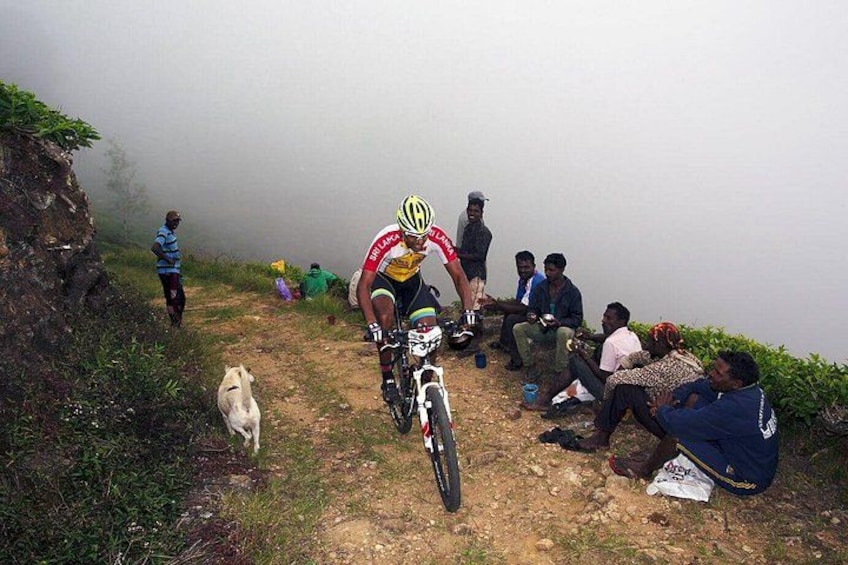 Ein Radfahrer auf einem Feldweg, in der Nähe eine Gruppe von Menschen und ein Hund. 2