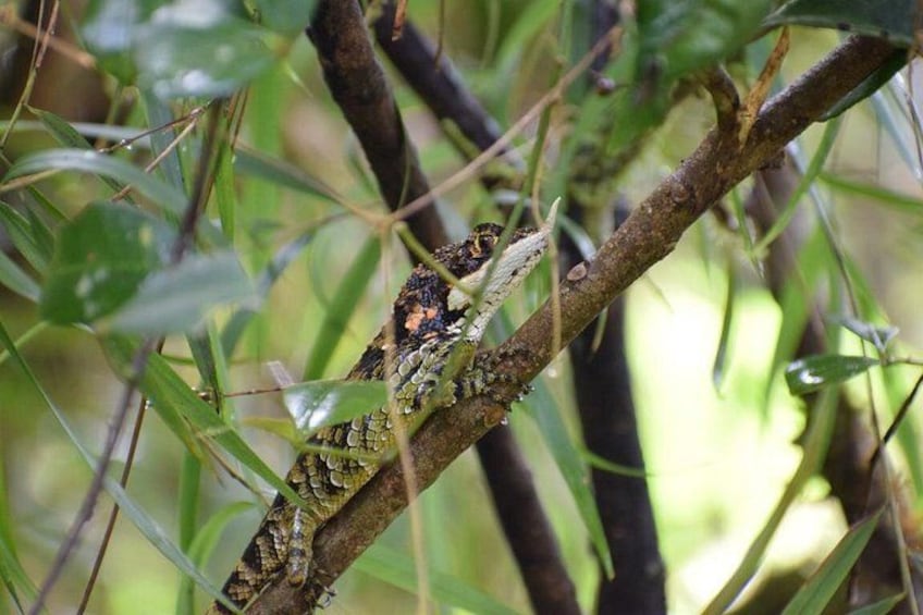 Horton Plains National Park 4
