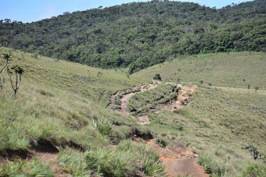 Horton Plains National Park 5