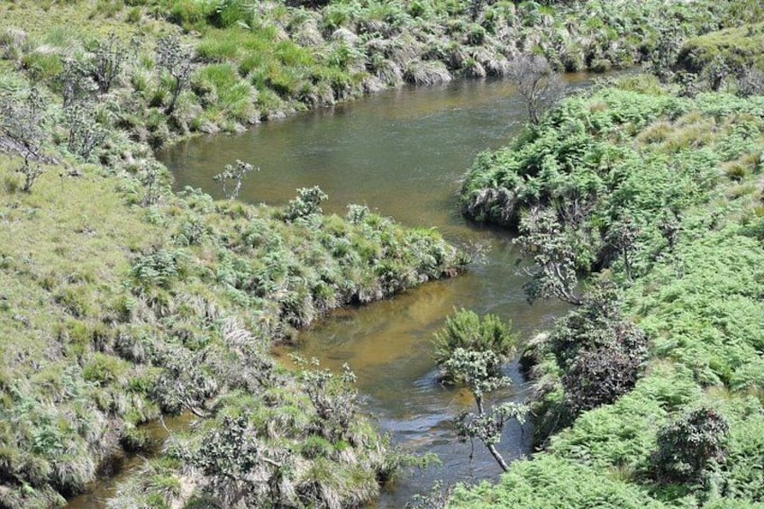 Horton Plains National Park 3
