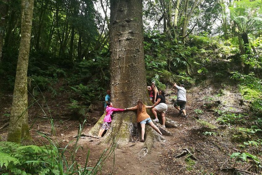 #Bigtree 3