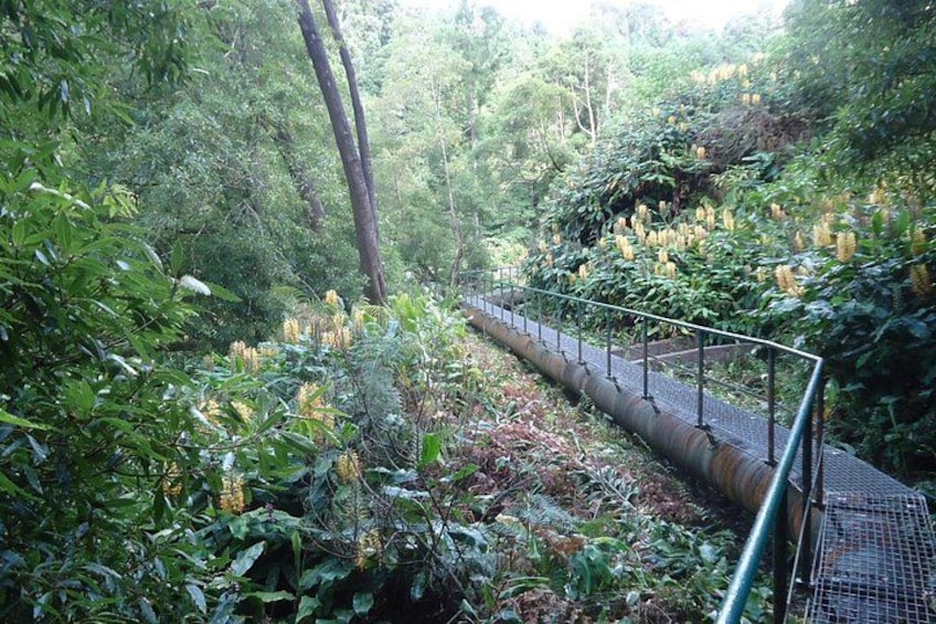 Salto do Cabrito - trail 3