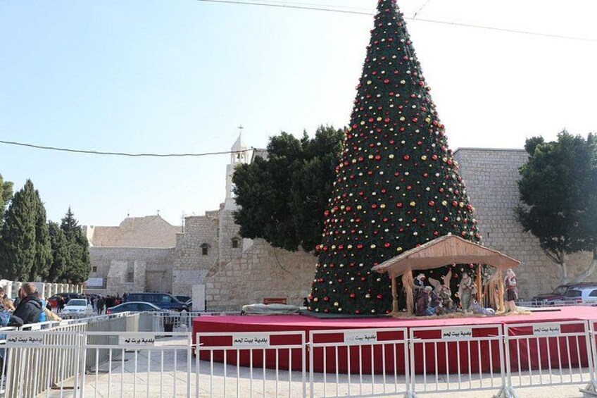 A large decorated Christmas tree in front of a historic building. 2