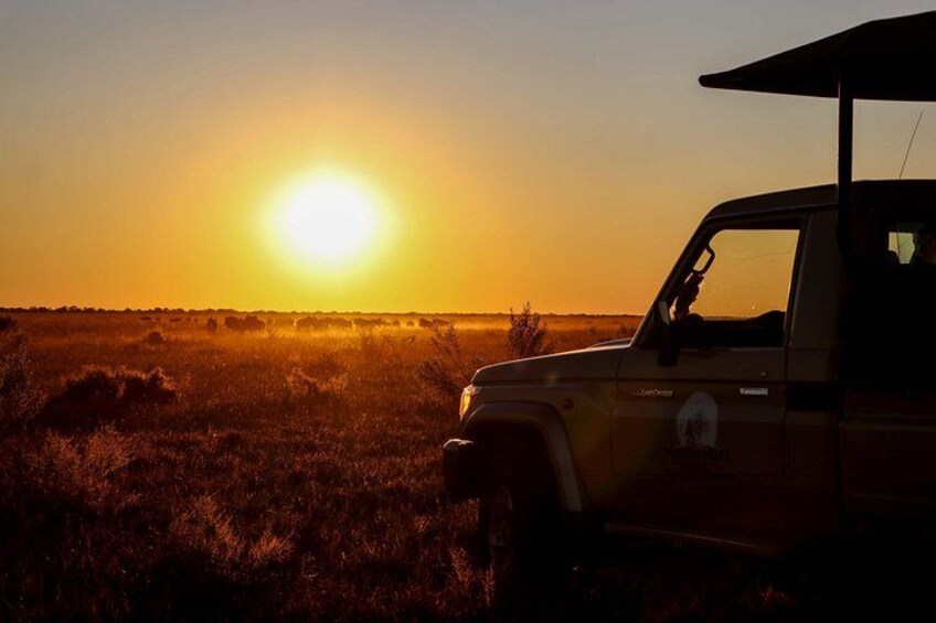 A vehicle in a field with the sun setting in the background. 2