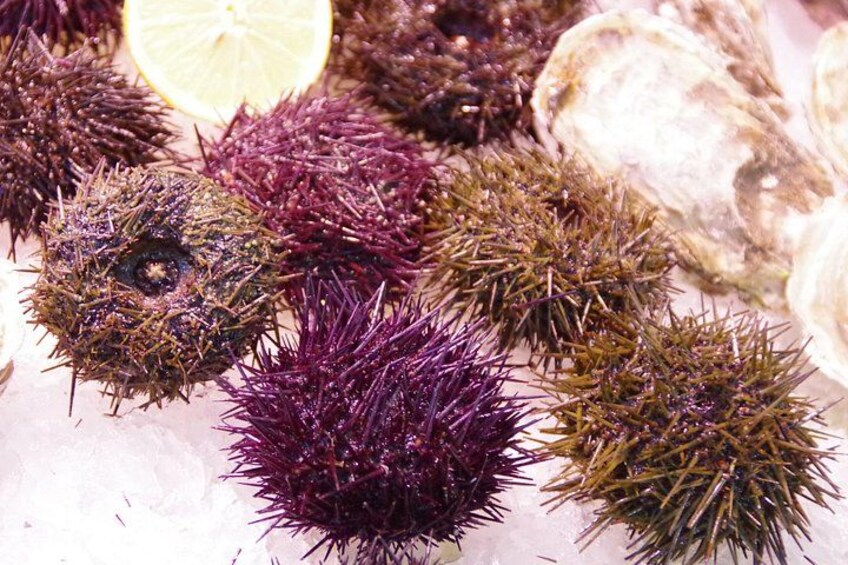Sea urchins and a lemon on a bed of ice. 2