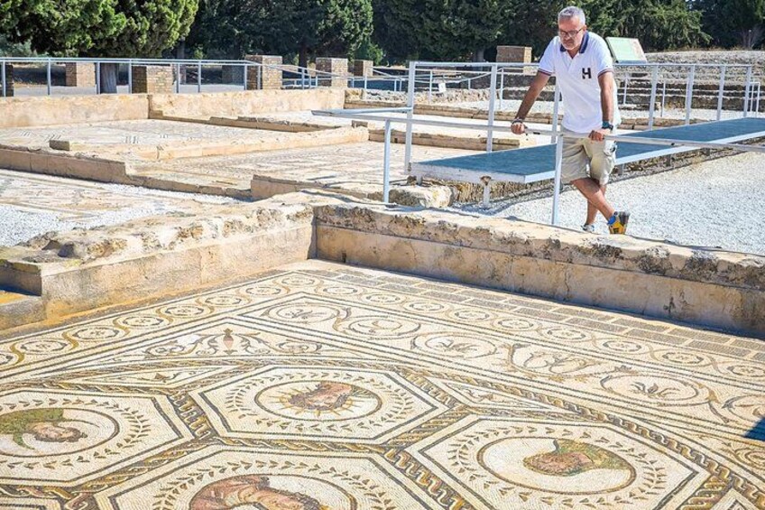 Italica 2-Hour Private Guided Tour 5