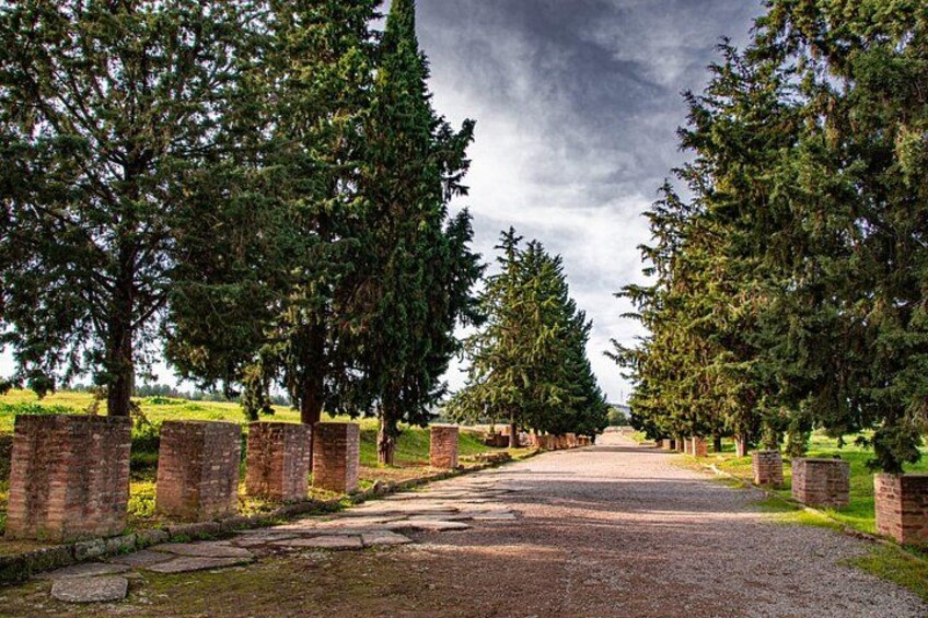 Italica 2-Hour Private Guided Tour 2