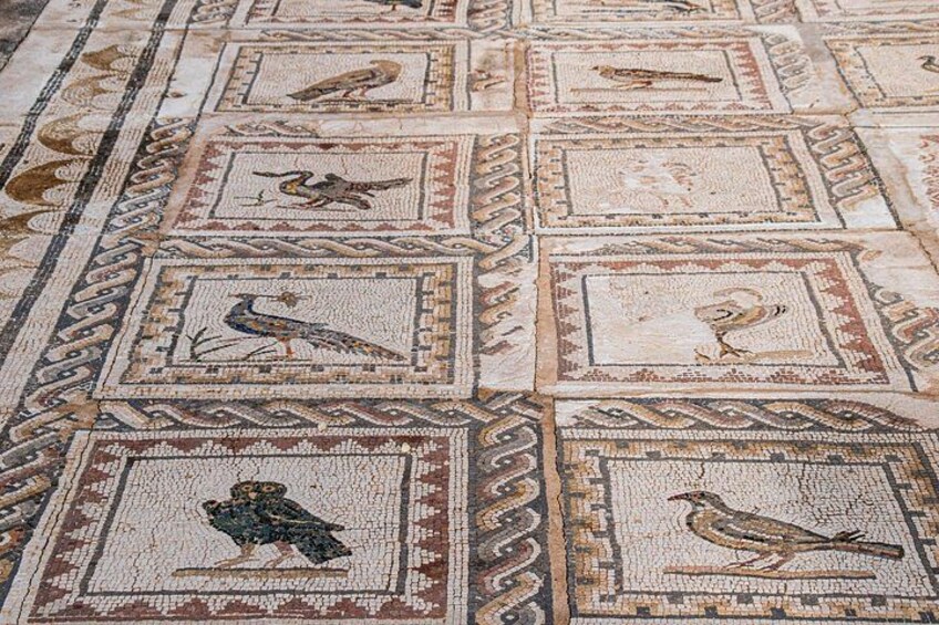 Italica 2-Hour Private Guided Tour 3