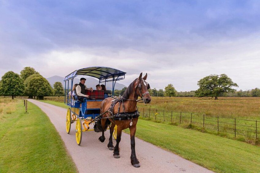 Killarney Jaunting Car- Park to Castle 3