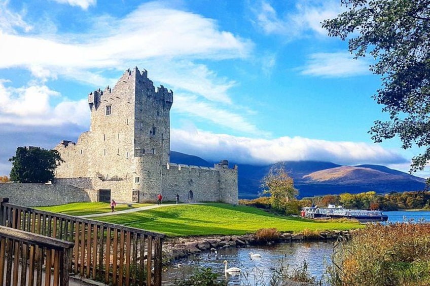 Daily departures from Ross Castle pier 5