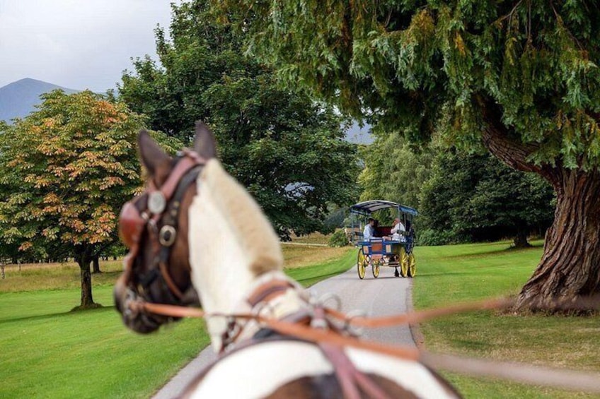 Combination Killarney Jaunting Car Tour and Lakes of Killarney Cruise 2