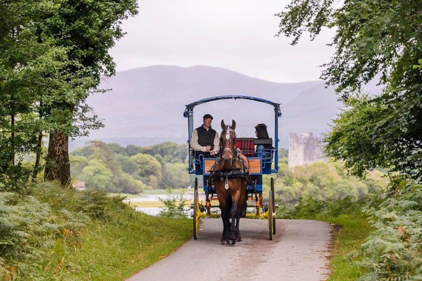 A horse-drawn carriage on a path with a person driving, surrounded by greenery and mountains in the background. 2