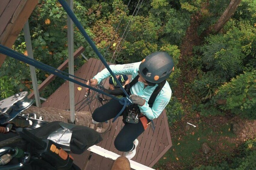 A person zip-lining through a forested area with a wooden platform and dense foliage. 2