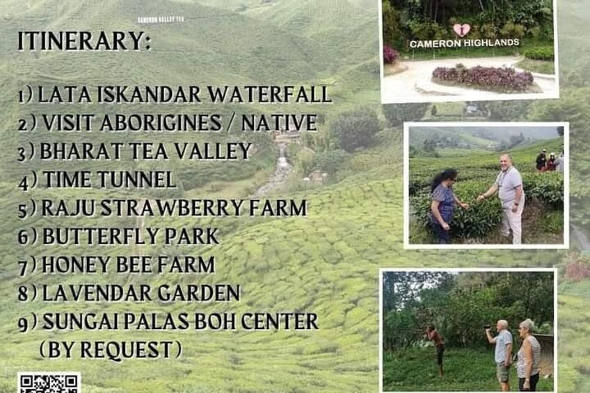Cameron Highlands Day Trip 2