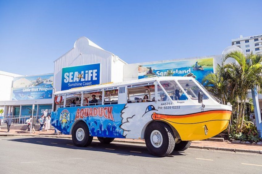 Aquaduck Sunshine Coast - 1hr Mooloolaba Amphibious Tour 1