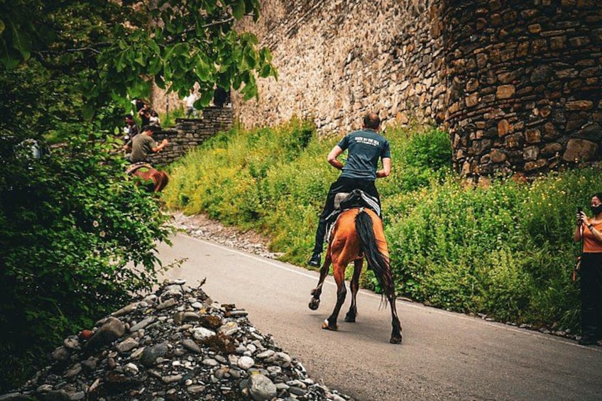 Highlights of Caucasus Mountains-Jinvali,Ananuri,Gudauri,Kazbegi(Group tour) 2