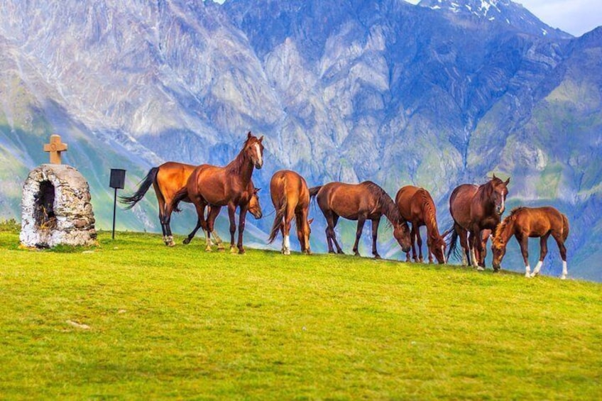 A group of horses grazing on a grassy field with a stone structure and a cross in the background. 2
