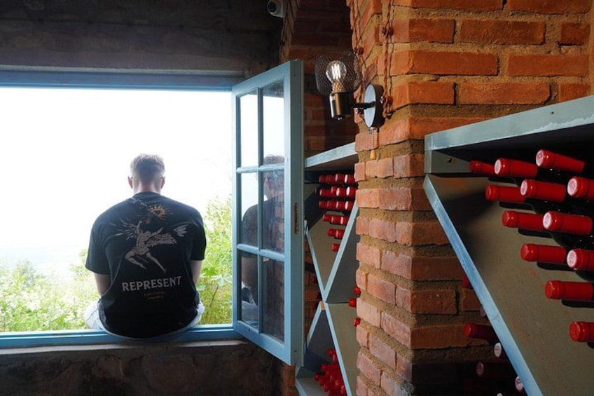 A person sitting by a window with a view of greenery, a brick wall, and wine bottles on shelves. 5