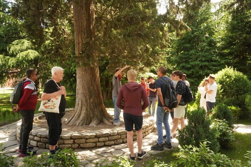 A group of people standing around a large tree in a park. 3