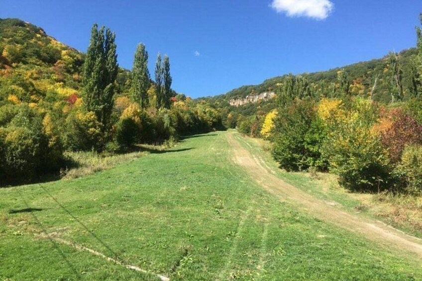 A dirt path through a grassy field with trees on either side. 2