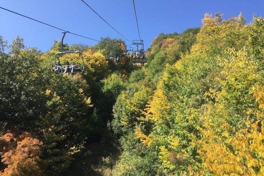 A cable car moving along a mountain trail surrounded by autumn foliage. 3