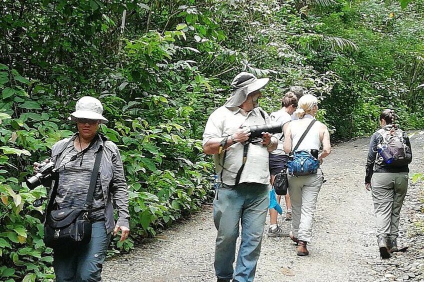 A group of people walking on a gravel path surrounded by dense greenery. 3