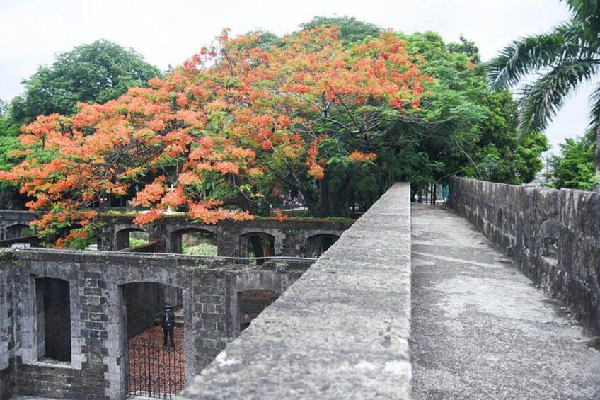 Eine Steinbrücke mit Bögen, ein Baum mit orangefarbenen Blüten und eine Steinmauer. 2