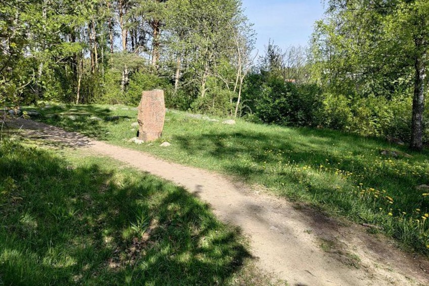Viking History, Runes & Countryside 9h Tour to Sigtuna & Uppsala 2