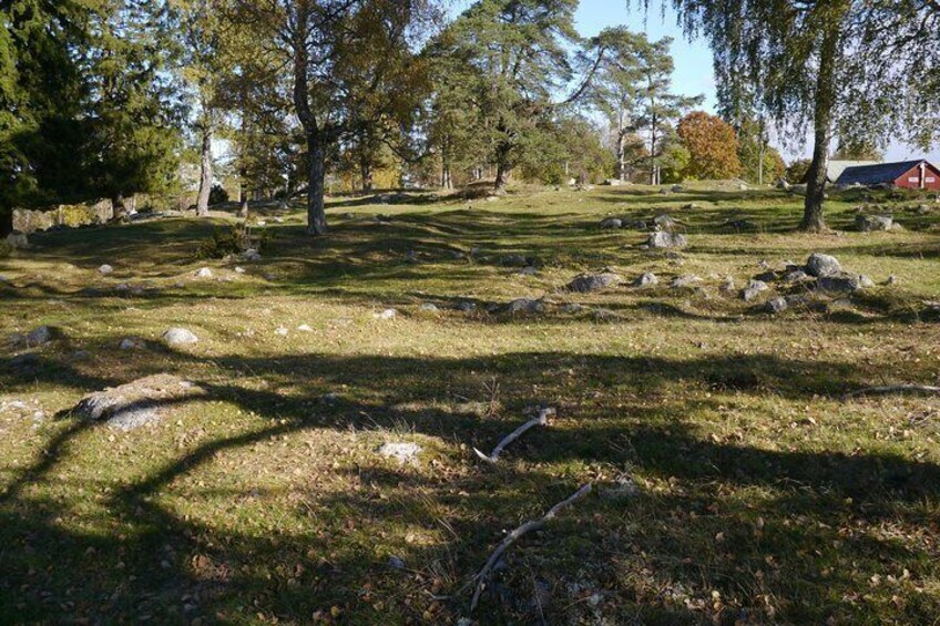 Grave field bronze and viking age