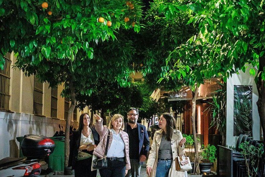 Granada Tapas and Wine Small Group Tour 5