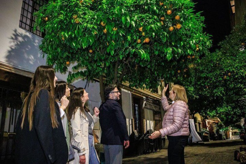 Granada Flamenco & Tapas Tour 4