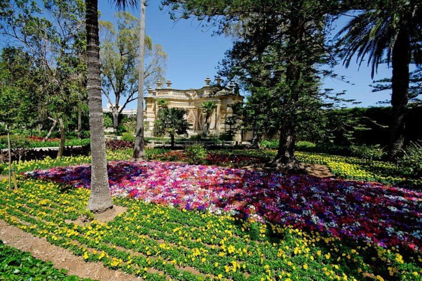San Anton Gardens 5